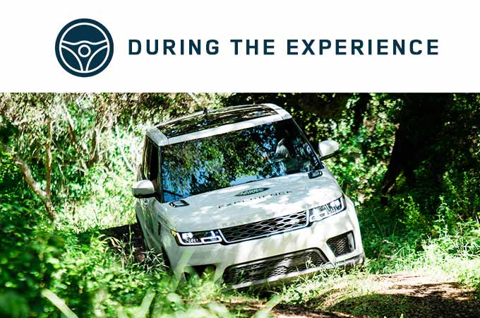 During the Experience.